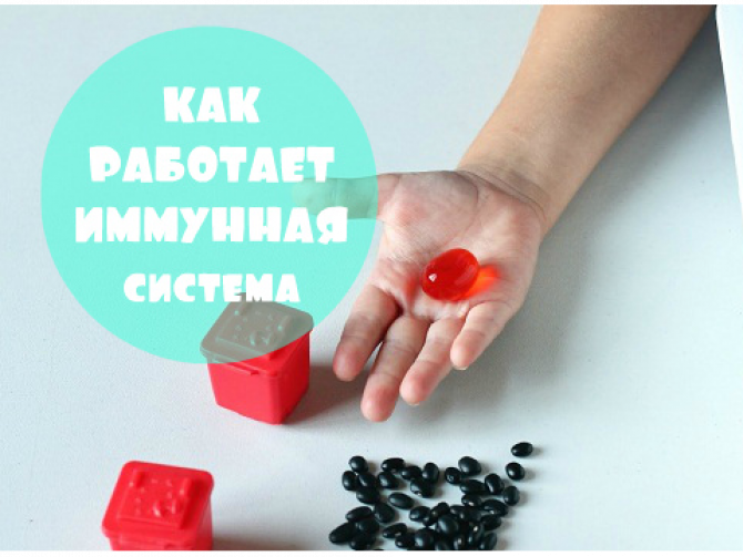 иммунитет