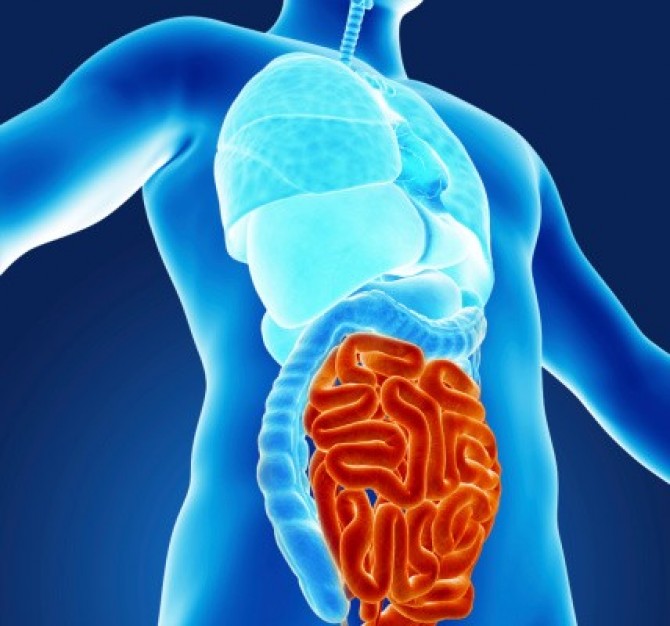 Ректороманоскопия в проктологии - Likar.Info