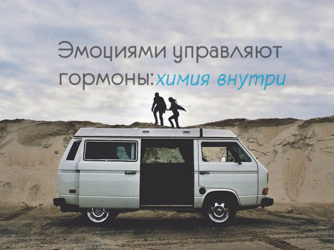 Какие гормоны влияют на наши чувства и эмоции