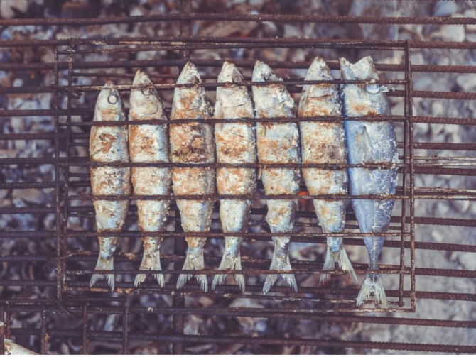 Мясо, рыба, яйца в питании взрослых и детей