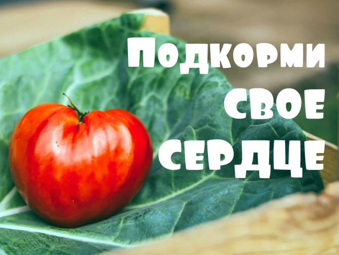 nutrition and heart
