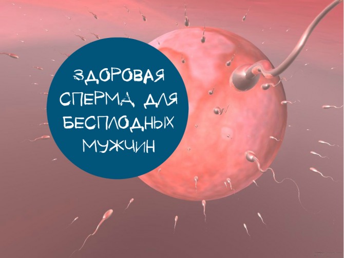 мужское бесплодие