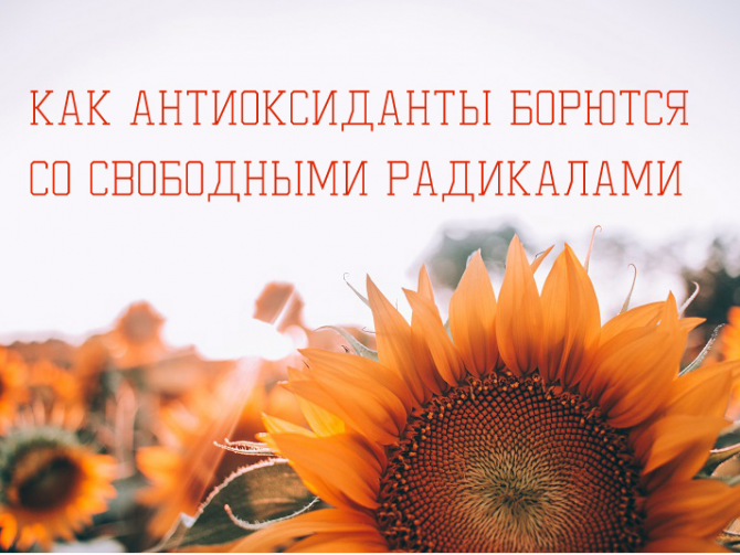 Свободные радикалы и антиоксиданты: что это?