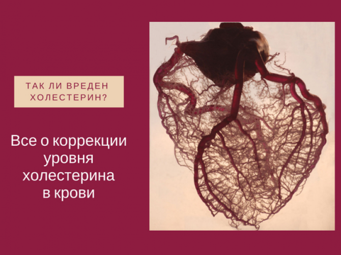 Все о коррекции уровня холестерина в крови