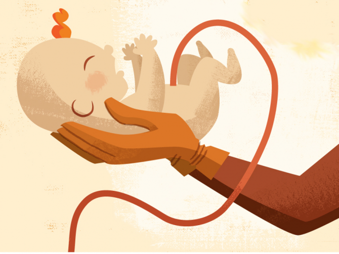 umbilical cord