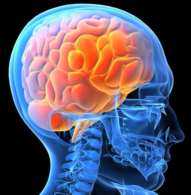 NEUROSURGERY (Нейрохирургия)