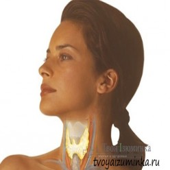 Фитовит-Щитовидная железа
